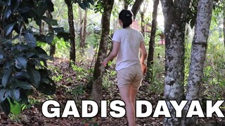 Gadis dayak memanjat buah rambutan hutan || beginilah kehidupan kami