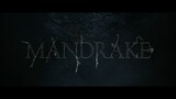 Mandrake 2022 (trailer)