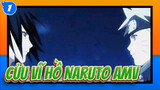 Cửu Vĩ Hồ Naruto AMV_1