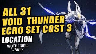 Void Thunder Echo Set Cost 3 Best Farming Route | Yinlin Calcharo Echo | Wuthering Wave