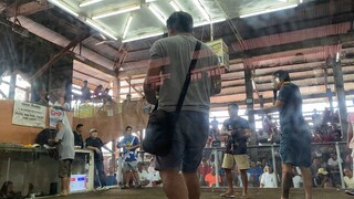 2Hits Ulutan- 2nd Fight WIN using RAPTOR SWEATER