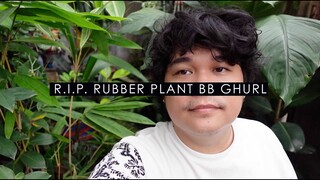 FAILED RUBBER PLANT PROPAGATION | COCO POLES KINEMER