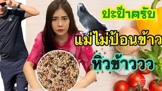 ตอน จัสตินฟ้องปะป๊าว่าแม่ไม่ให้กินข้าว รับบทนางฟ้อง🦜