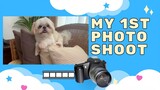 My Shih Tzu Dog's 1st Pictorial | It's Cuteness Overload!
