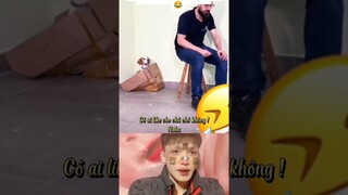 Trêu luôn cả chủ 🤣🤣🤣#shorts #reaction #dog