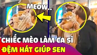 Chiếc mèo vì MIẾNG CƠM MANH CÁ mà phải đi 'HÁT BÈ' cho Sen khiến nhiều người thích thú 😂 Gâu Đần