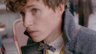 【Newt Scamander】 Newt là một thuật sĩ miễn phí √