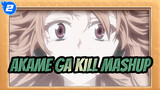 5 Mins Emotional Mashup of Akame Ga Kill! | Sadness_2
