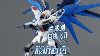 全级别自由都飞升了【每周胶价MG】