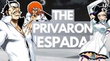 THE PRIVARON ESPADA - Hueco Mundo's Exiled Warriors | Bleach DISCUSSION