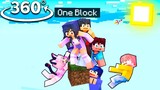 APHMAU and Friends On ONE BLOCK  -  Minecraft 360°