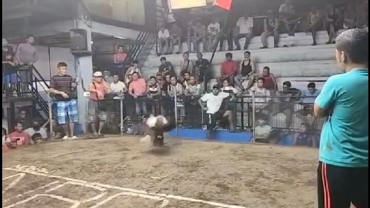 Team Hybreed 2hits ulutan. 1lose 1wins  White winner tayo mga ka Hybreed. di pinalad ung Isa ntin