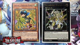 Yu-Gi-Oh! LYRILUSC TRI-BRIGADE Deck Profile (COMPETITIVE) - Post  December 2022 Banlist