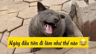 Ngàyđầu tiênđi làm của bạn như thế nào :0