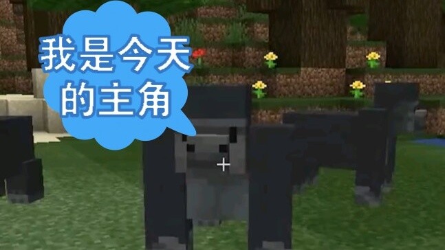 Minecraft: Hunter x Hunter game, are you ready?