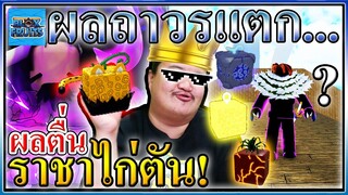 สุ่มไก่ตัน 5 ตัว ดูว่าจะได้อะไรบ้าง? | Blox Fruits 🐔