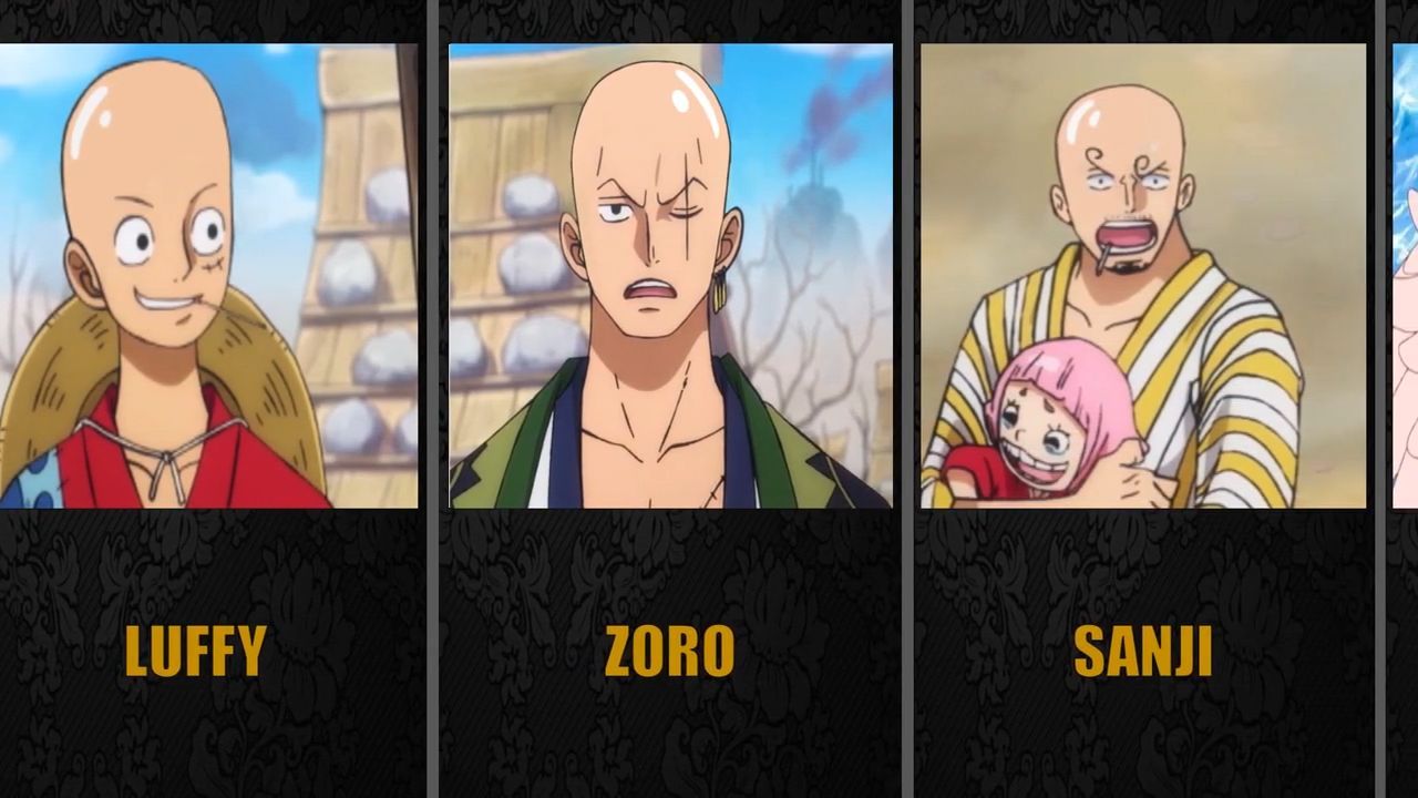 Bald Versions of One Piece Characters - Bilibili