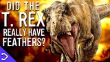 Did T. Rex Have Feathers?