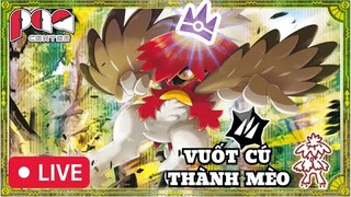 Bí Kíp Luyện Cú - RAID 7🌟HISUIAN DECIDUEYE | Pokemon Scarlet & Violet | PAG Center