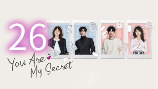 You Are My Secret ep 26 (sub indo)