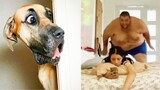 Pets That Are Actually Funny to Watch