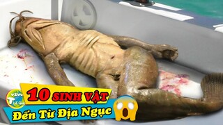 OMG! 10 Sinh Vật Kỳ Lạ và Quái Dị Ngỡ Rằng Chỉ Có Ở Trong Phim | ViVu Thế Giới