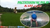Pagtatanim Ng Palay🌾 (Kill eye Vlog)