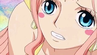 [One Piece] You are not my type, my heart is directly cold