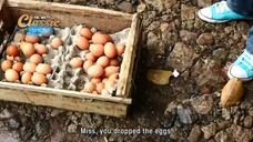 ftv - asmara kerak telor