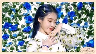 IU blueming lyrics