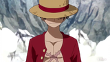 Monkey D. Luffy - The Promised Pirate King