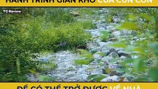 phần 2