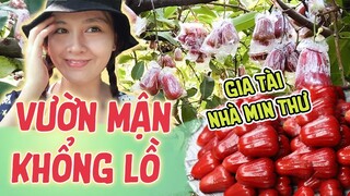 Về quê thăm vườn nhà Min Thư - Vlog miền tây