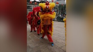 tet2021🌸🌸 tet2021 liondance mualansurong mualan TetXaHoaGan