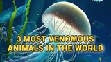 TOP 3 MOST VENOMOUS ANIMALS IN THE WORLD
