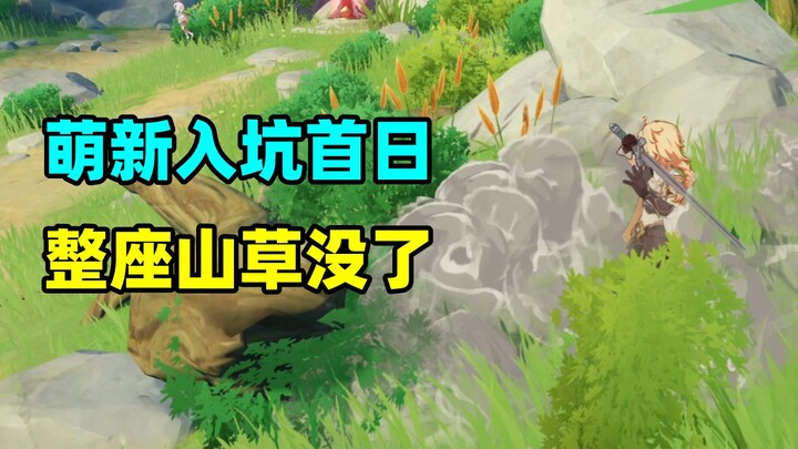 【原神】23万粉炉石UP原神开荒！萌新首日入坑！