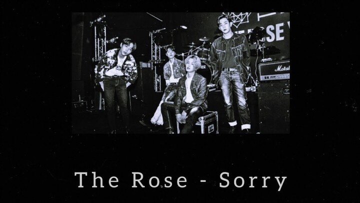 The Rose - Sorry | Lirik dan Terjemahan