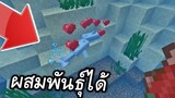 วิธี!! ผสมพันธุ์ให้ปลา (มีลูกได้) | Minecraft PE