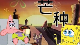 【派大星】芒种   这就是人生 警告！