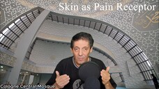 Skin as Pain Receptor - Scientific Miracles in the Quran