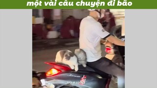 Câu chiện đi bão #funny #haihuoc