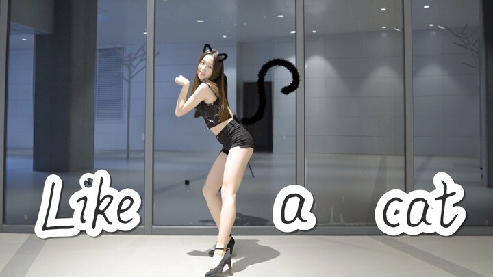 Like a Cat - AOA จู่ ๆ แมวเหมียวของเธอก็โผล่มา