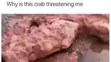 Why is this crab threatening me? 💀💀💀