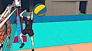 [Haikyuu!] Hinata Shoyo's accurate positioning