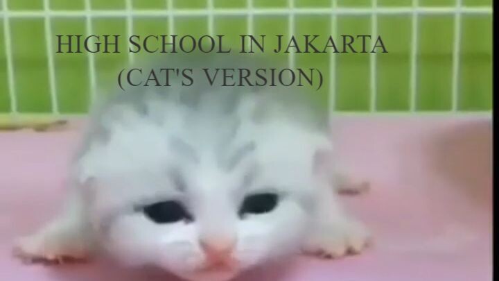 high school in jakarta (cat's version)