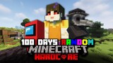 100 Days In Hardcore Minecraft But With RaNDoM MoDs...