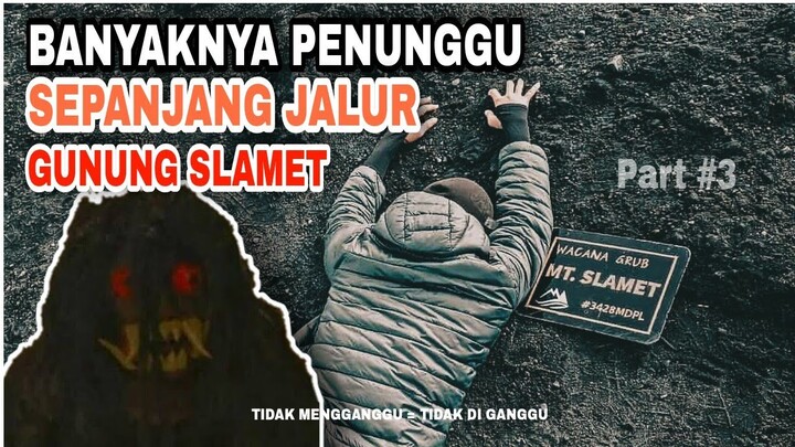 PART #3 || 10 CERITA HOROR GUNUNG PALING ANGKER DI INDONESIA || 8-10