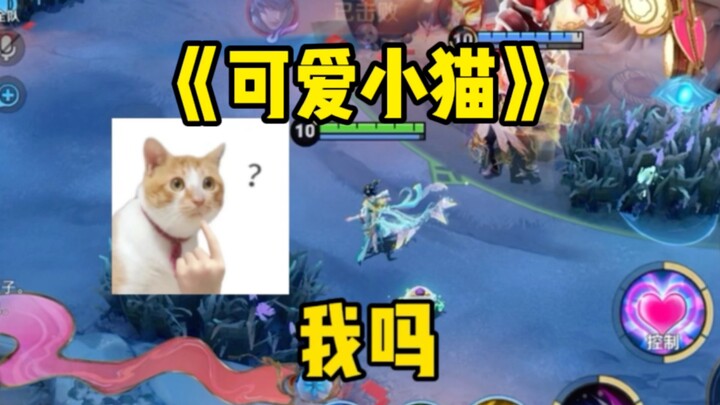 你也喜欢可爱小猫吗
