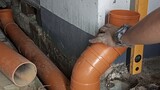 how to joint 4inch pvc pipe to fixed pipe. #plumbingworks