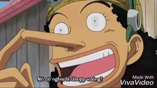 Thề.! Chỉ có Zoro mới phân biệt được Usopp #onepiece